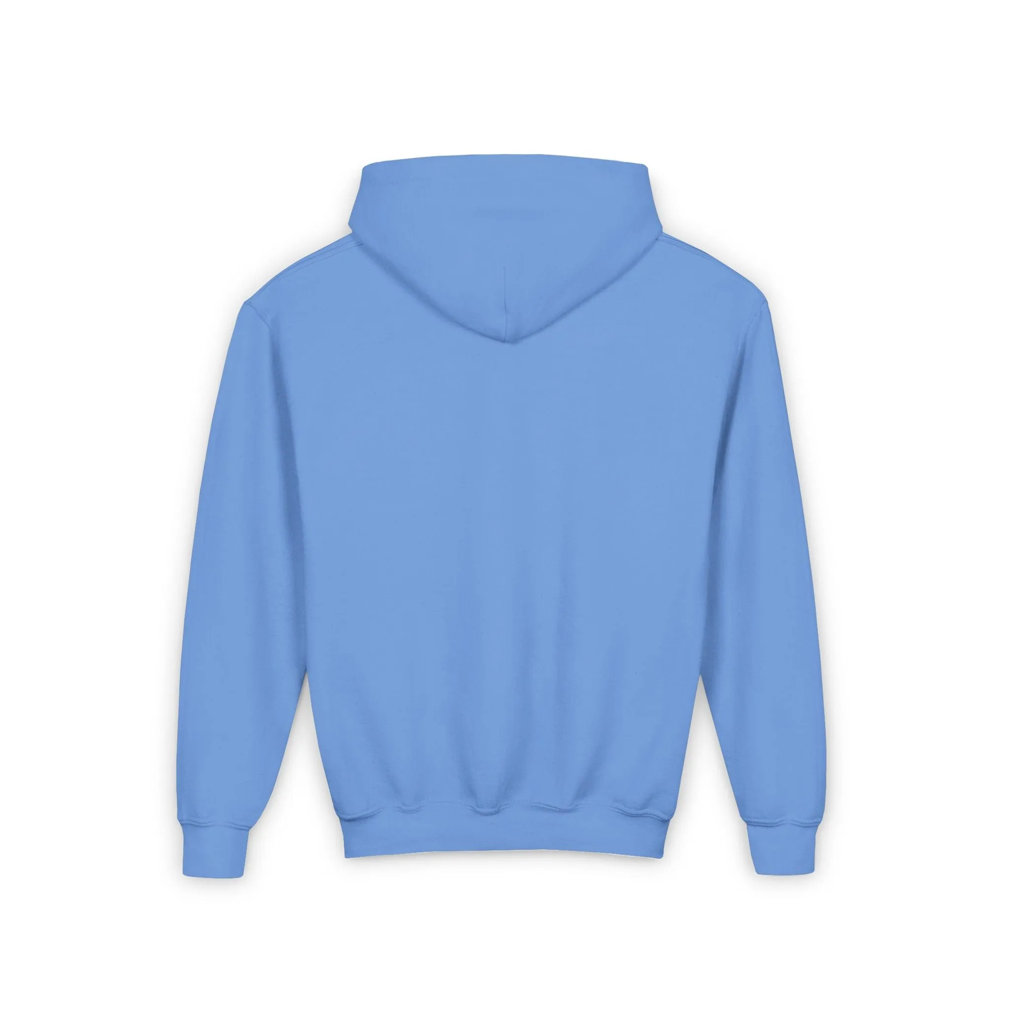 AFA Fillies Youth Hoodie Pink Bar Logo