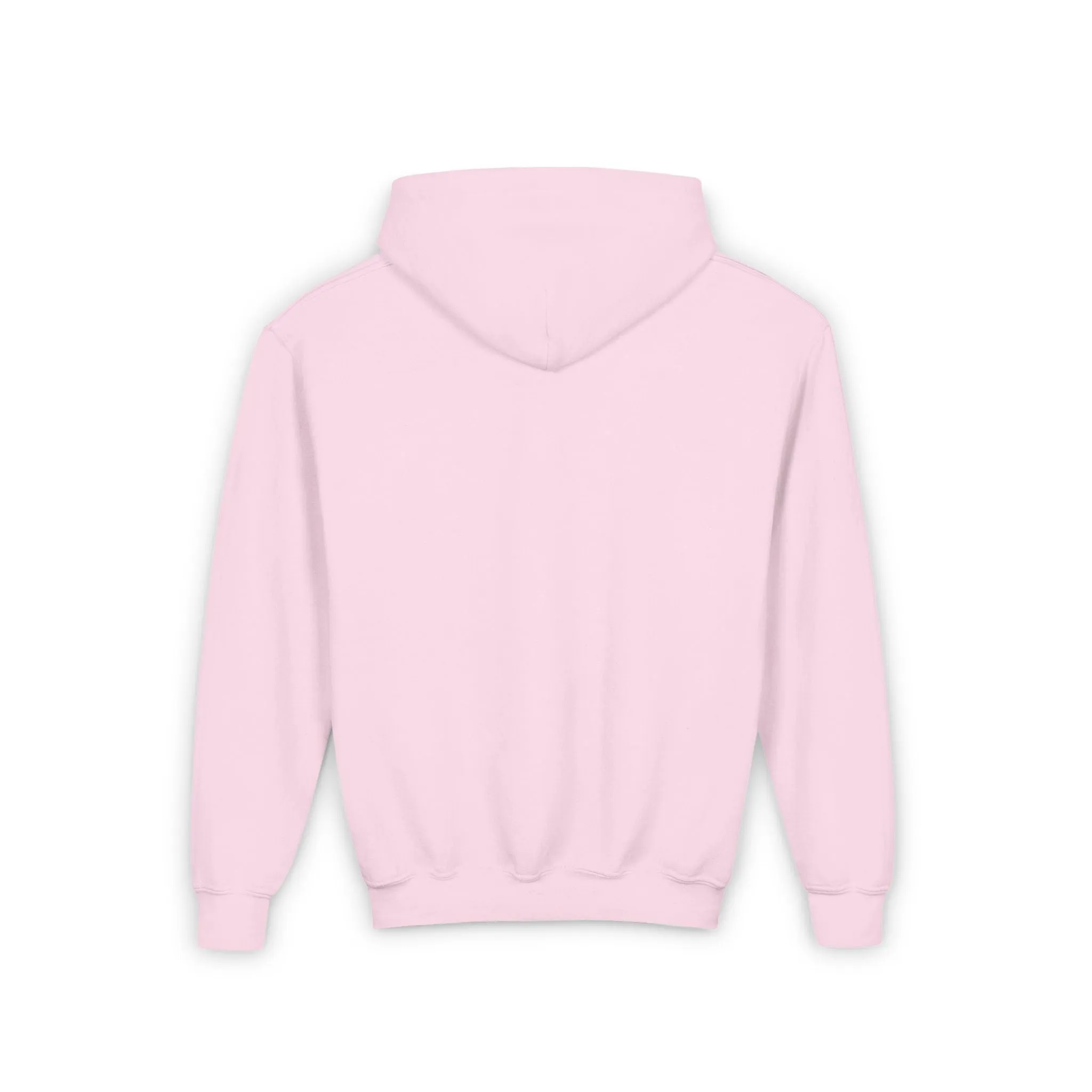 AFA Fillies Youth Hoodie Pink Bar Logo