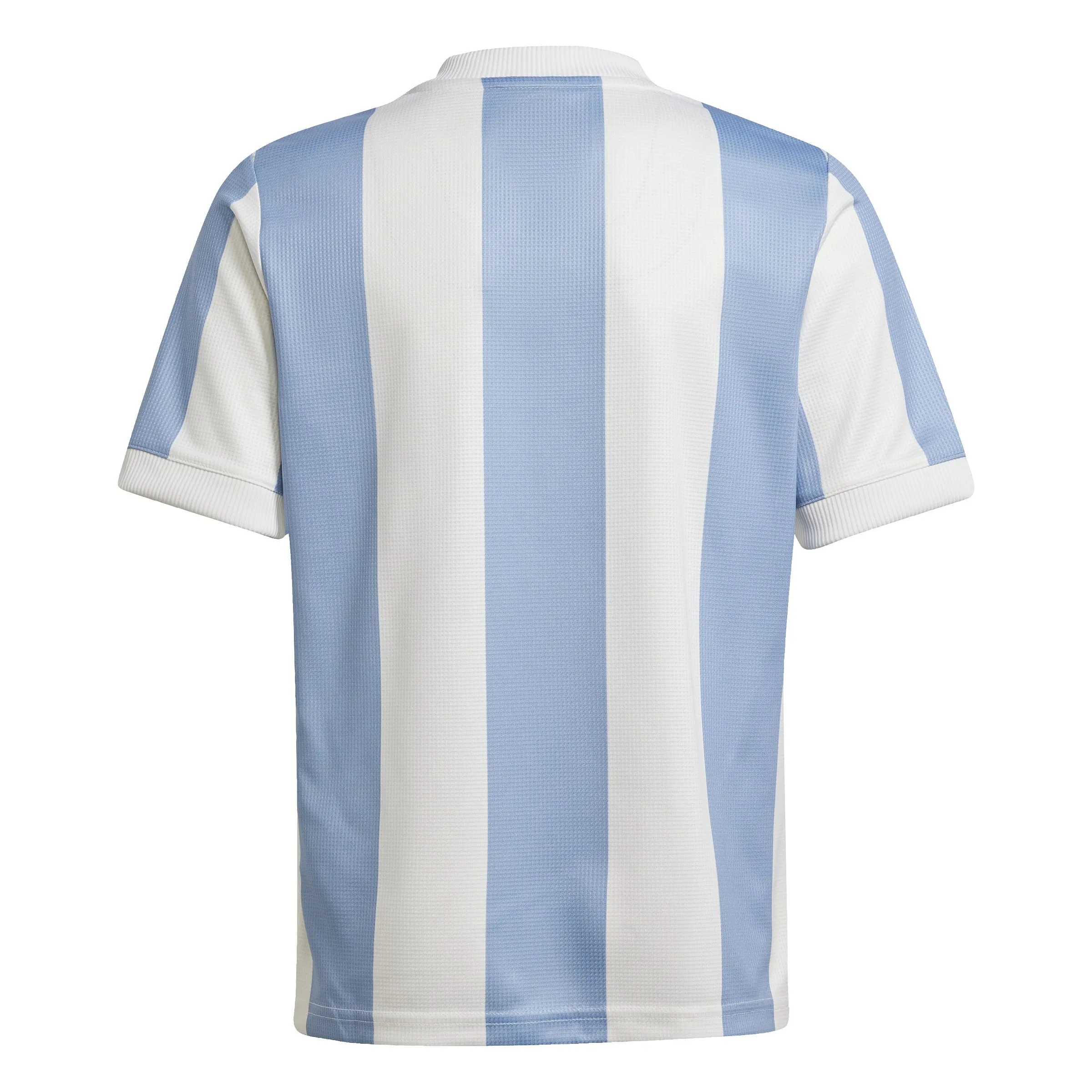 Argentina Youth Anniversary Jersey