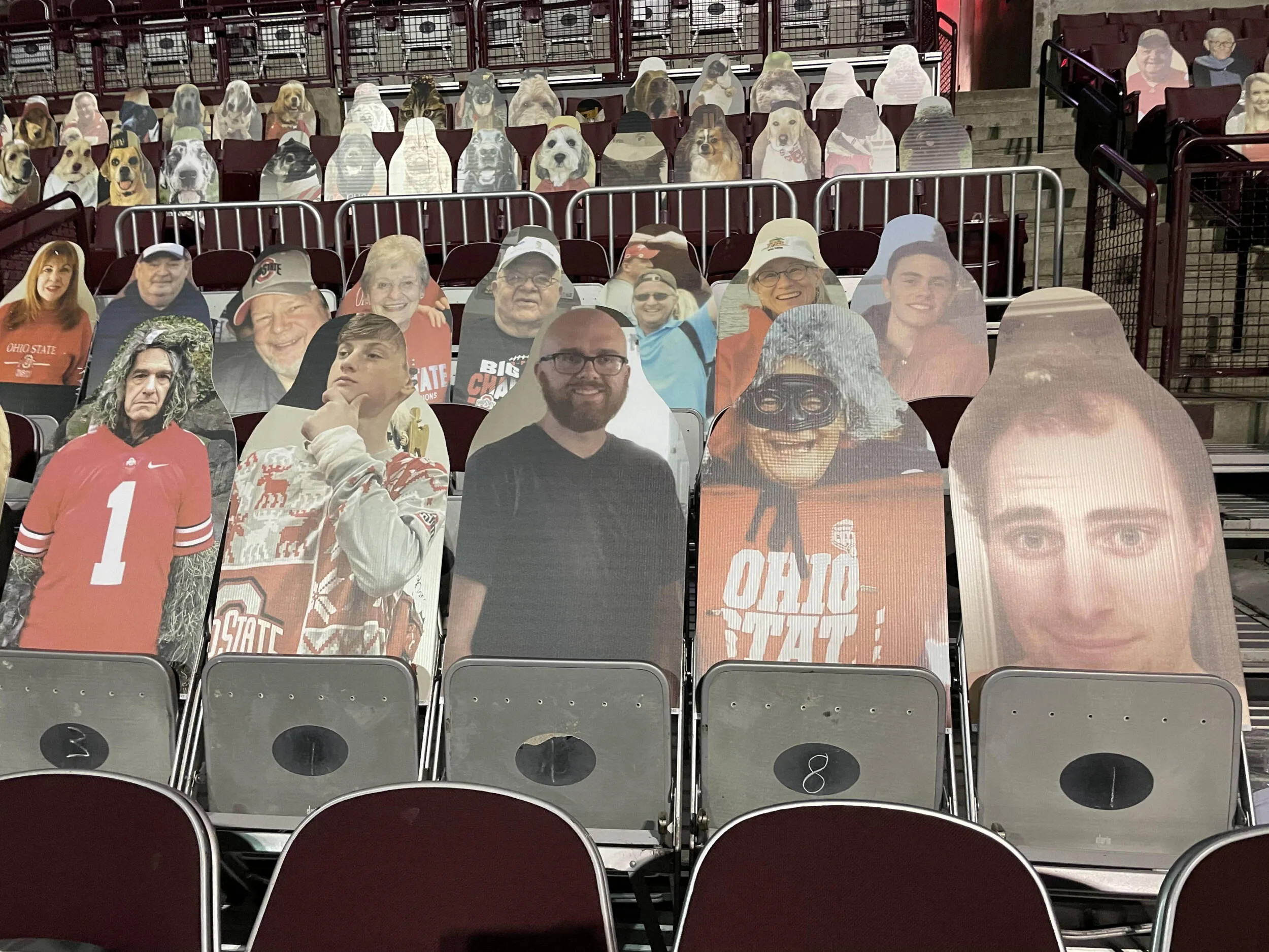 Buckeye Fan Cutouts at the Schott