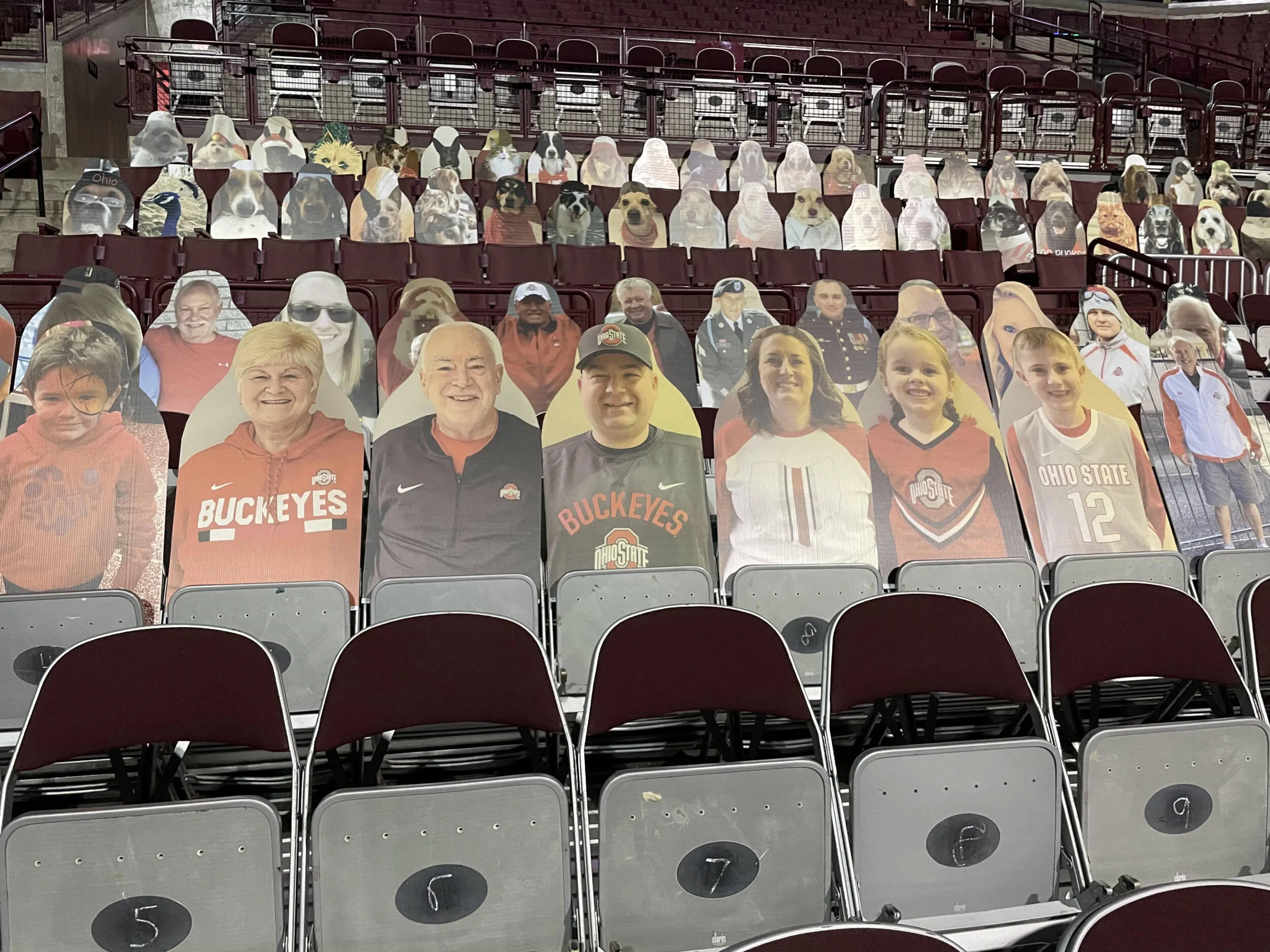 Buckeye Fan Cutouts at the Schott