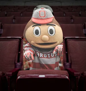 Buckeye Fan Cutouts at the Schott