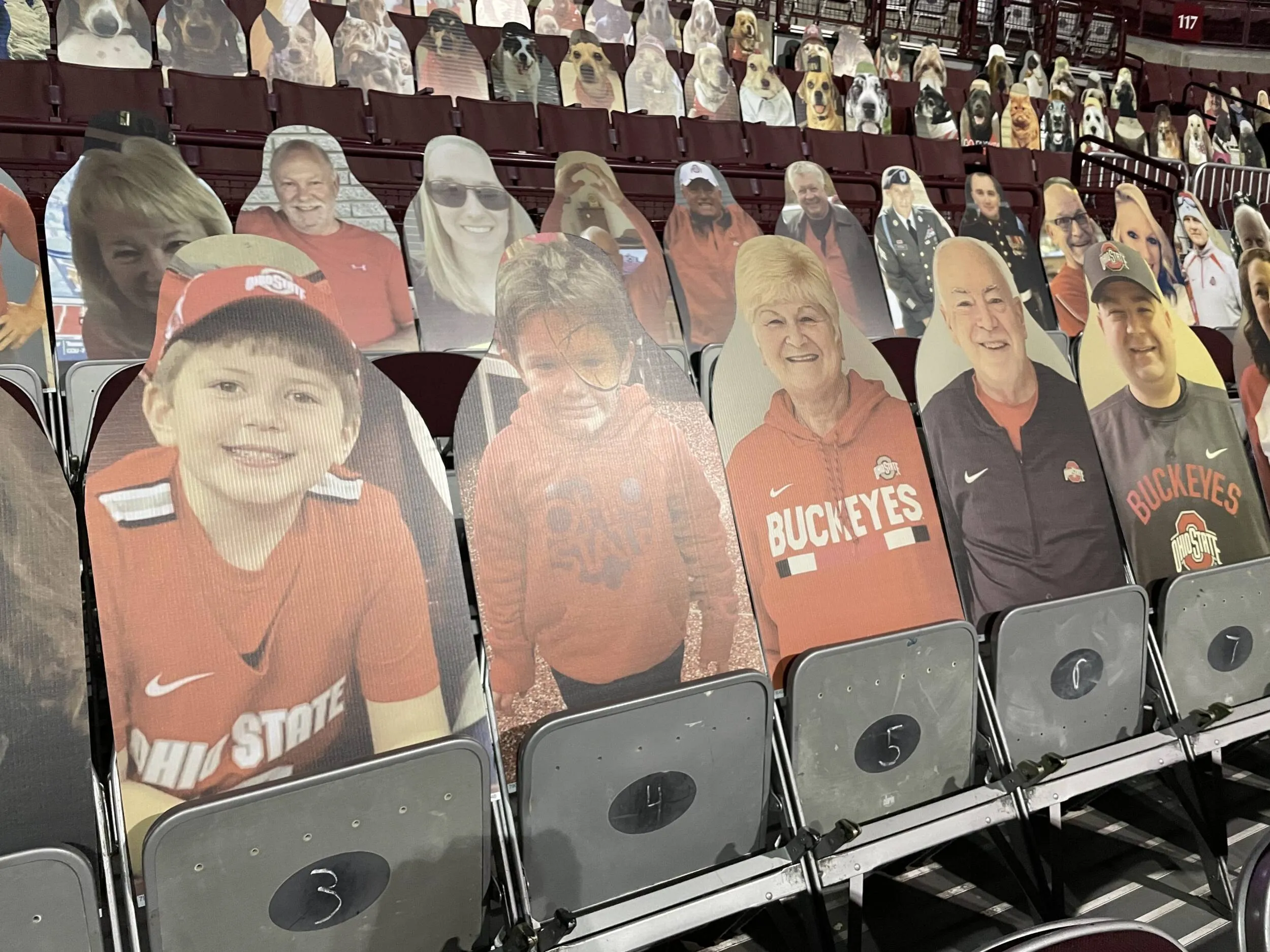 Buckeye Fan Cutouts at the Schott