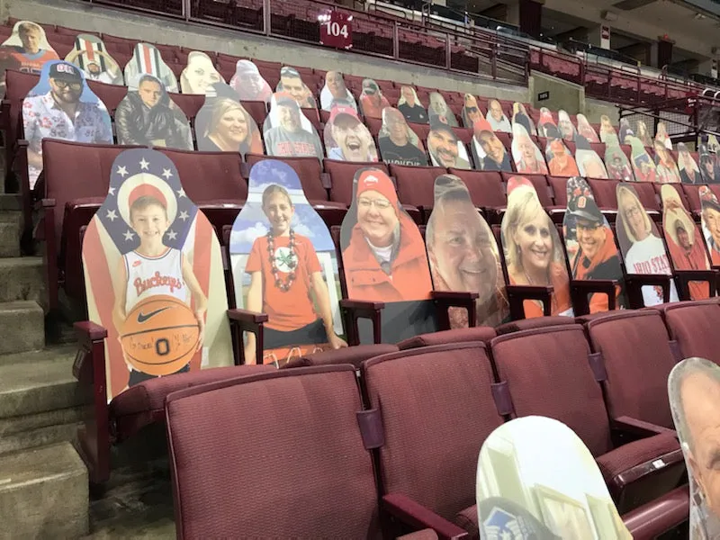 Buckeye Fan Cutouts at the Schott