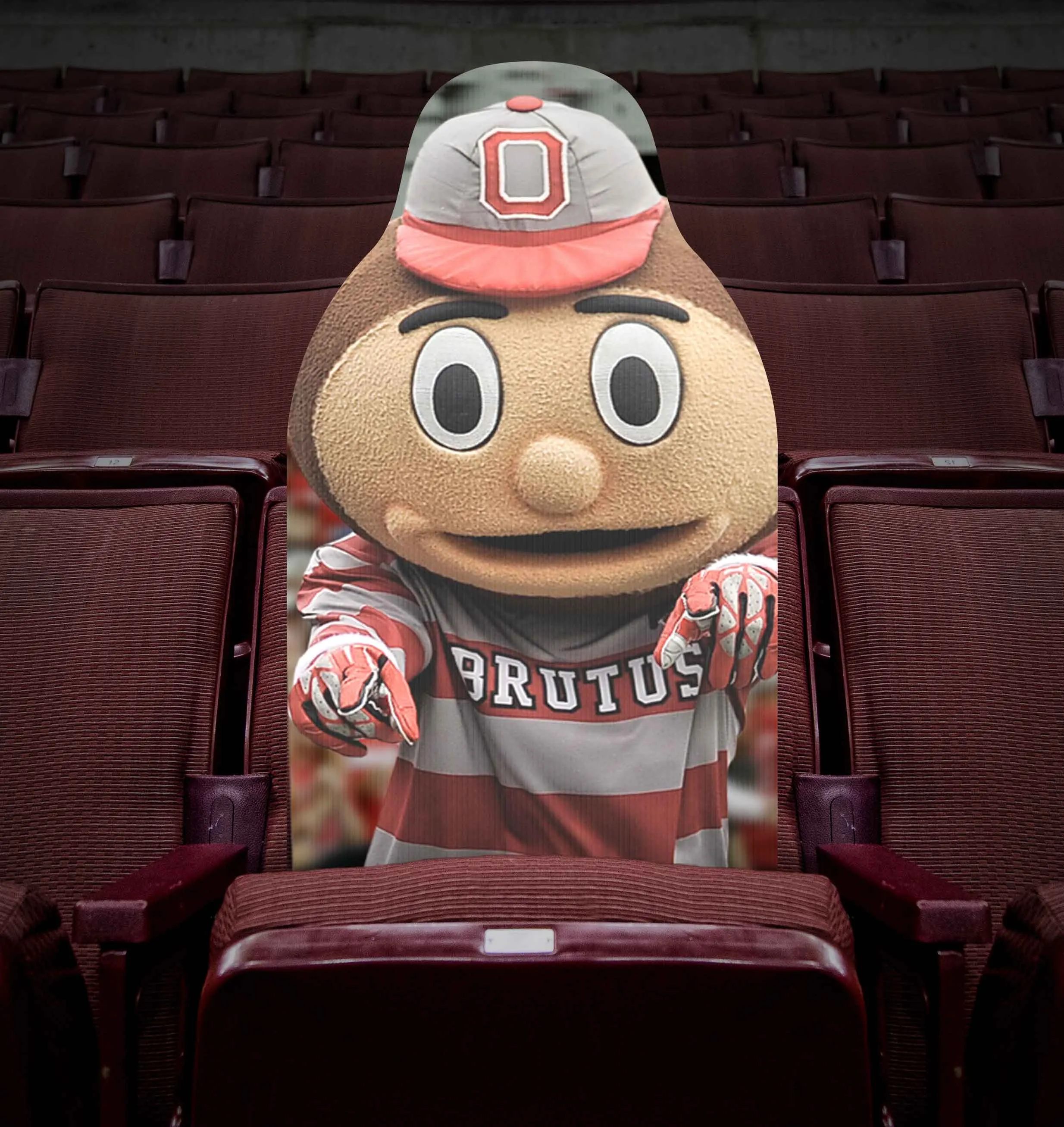 Buckeye Fan Cutouts at the Schott