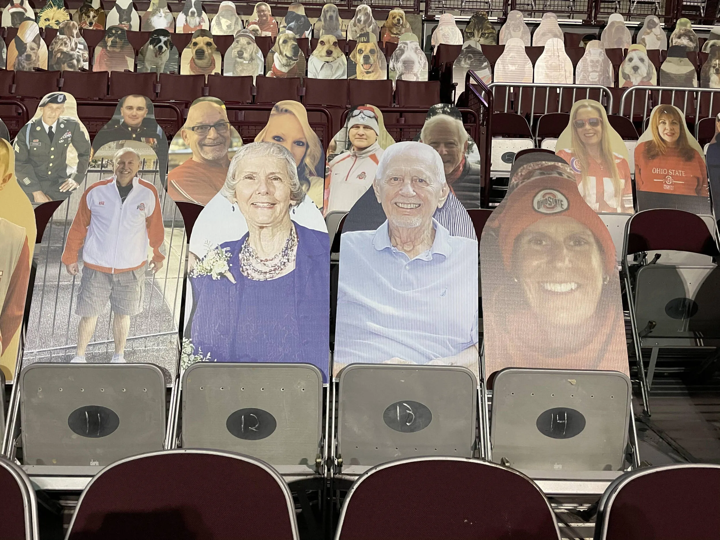 Buckeye Fan Cutouts at the Schott