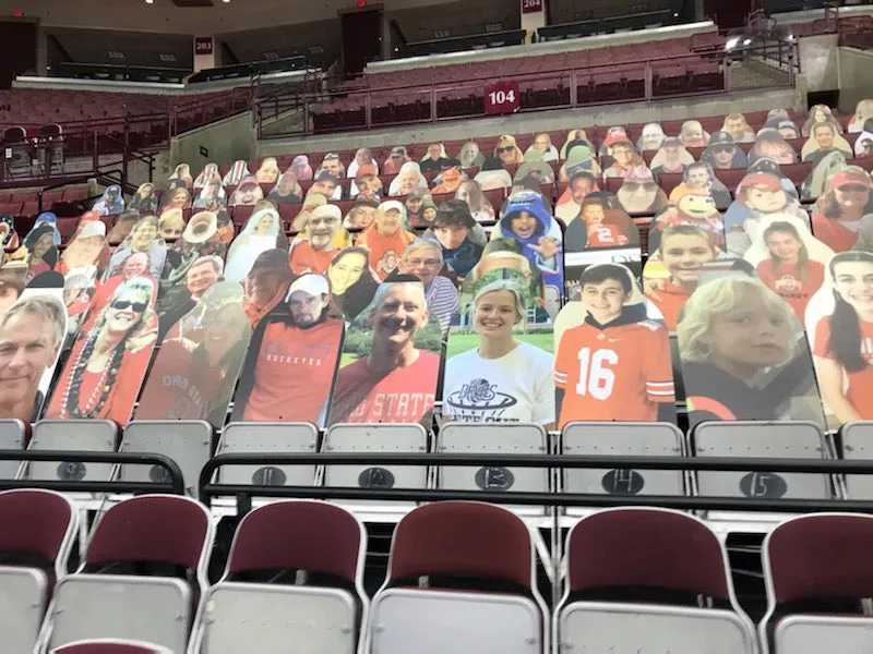 Buckeye Fan Cutouts at the Schott