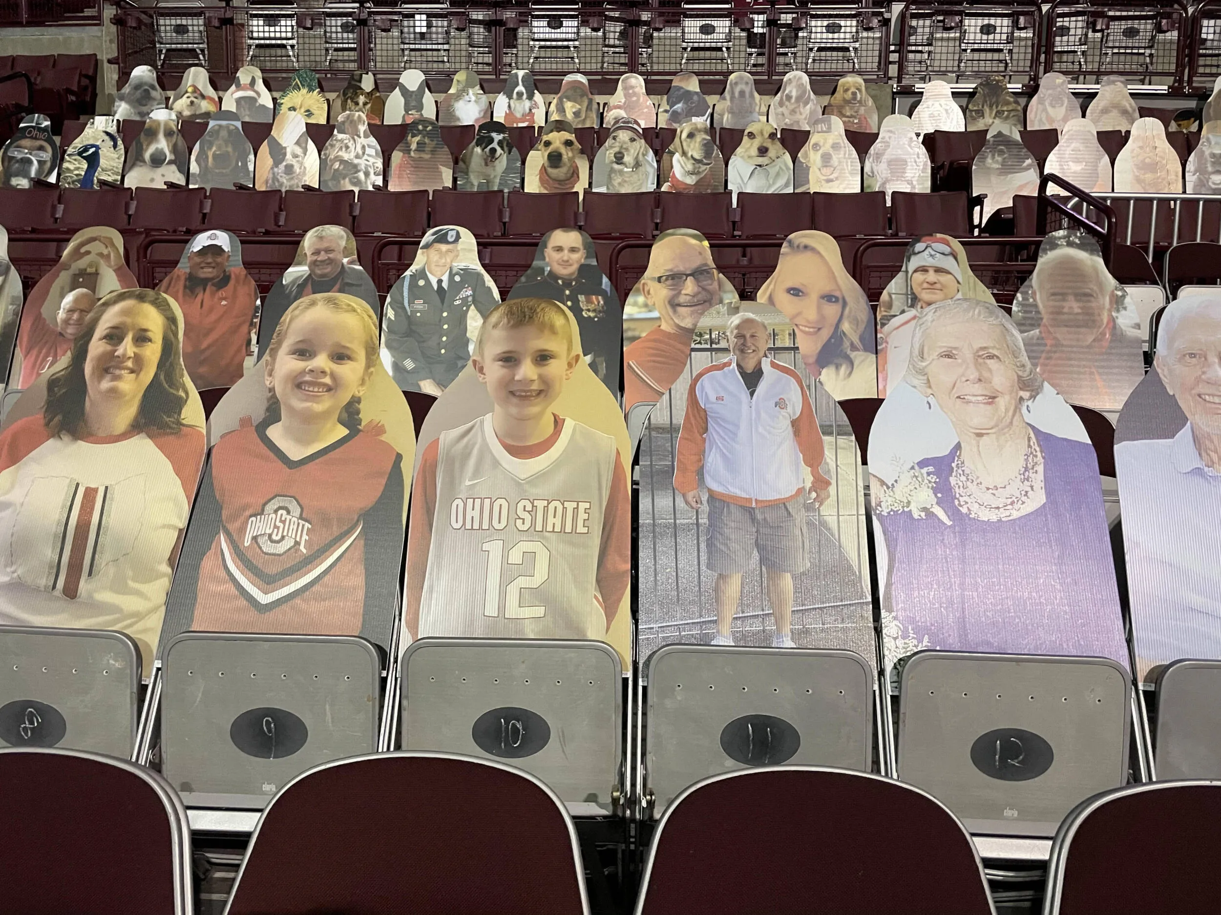 Buckeye Fan Cutouts at the Schott