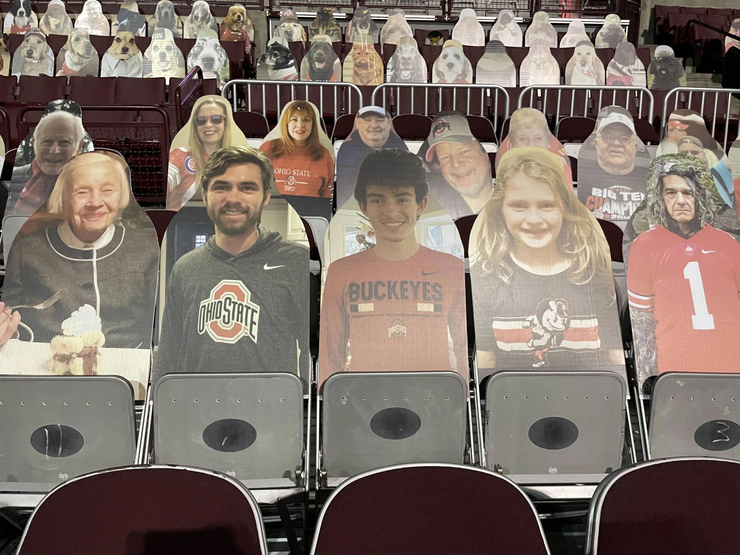 Buckeye Fan Cutouts at the Schott