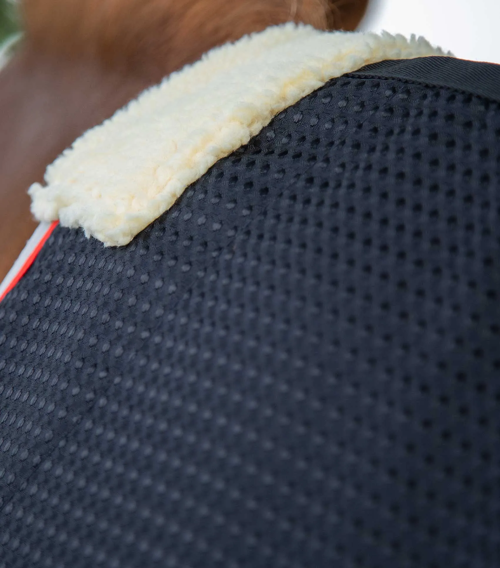 Buster Waffle Horse Cooler Rug Black