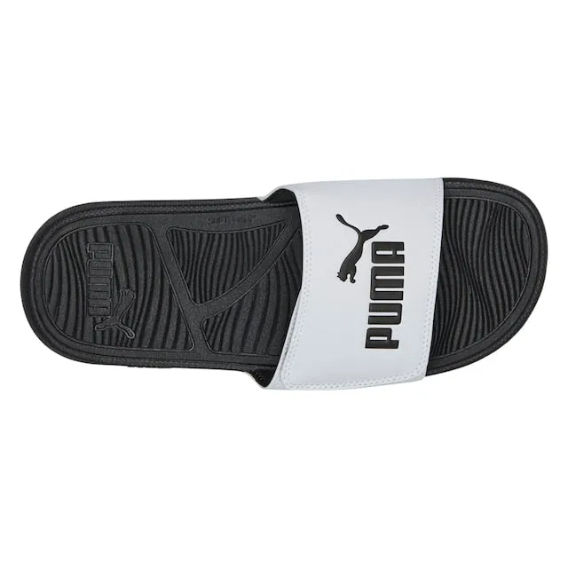 Cool Cat 2.0 Slides