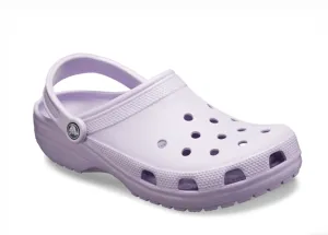 Crocs Lavender - Adult
