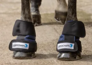 Cryochap Ice Wraps Pastern/Hocks/Knees Pair