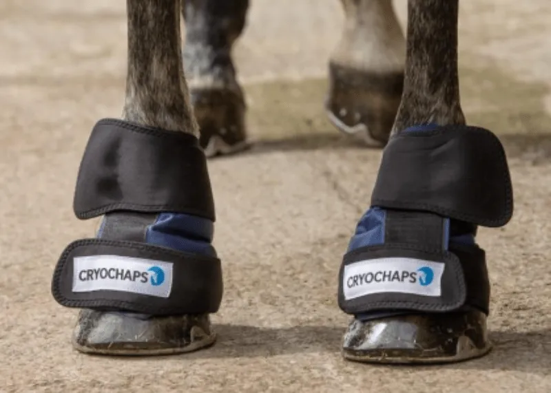 Cryochap Ice Wraps Pastern/Hocks/Knees Pair