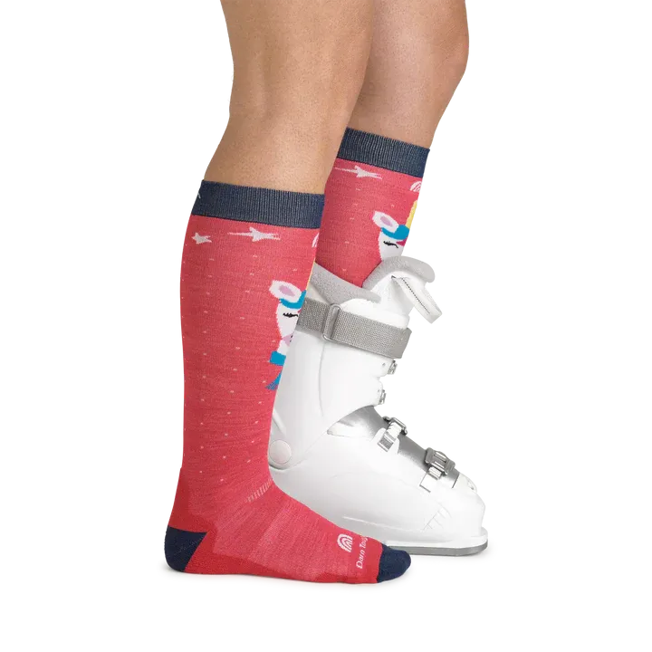 Darn Tough Magic Mountain 3807 Jr Midweight w Cushion Sock