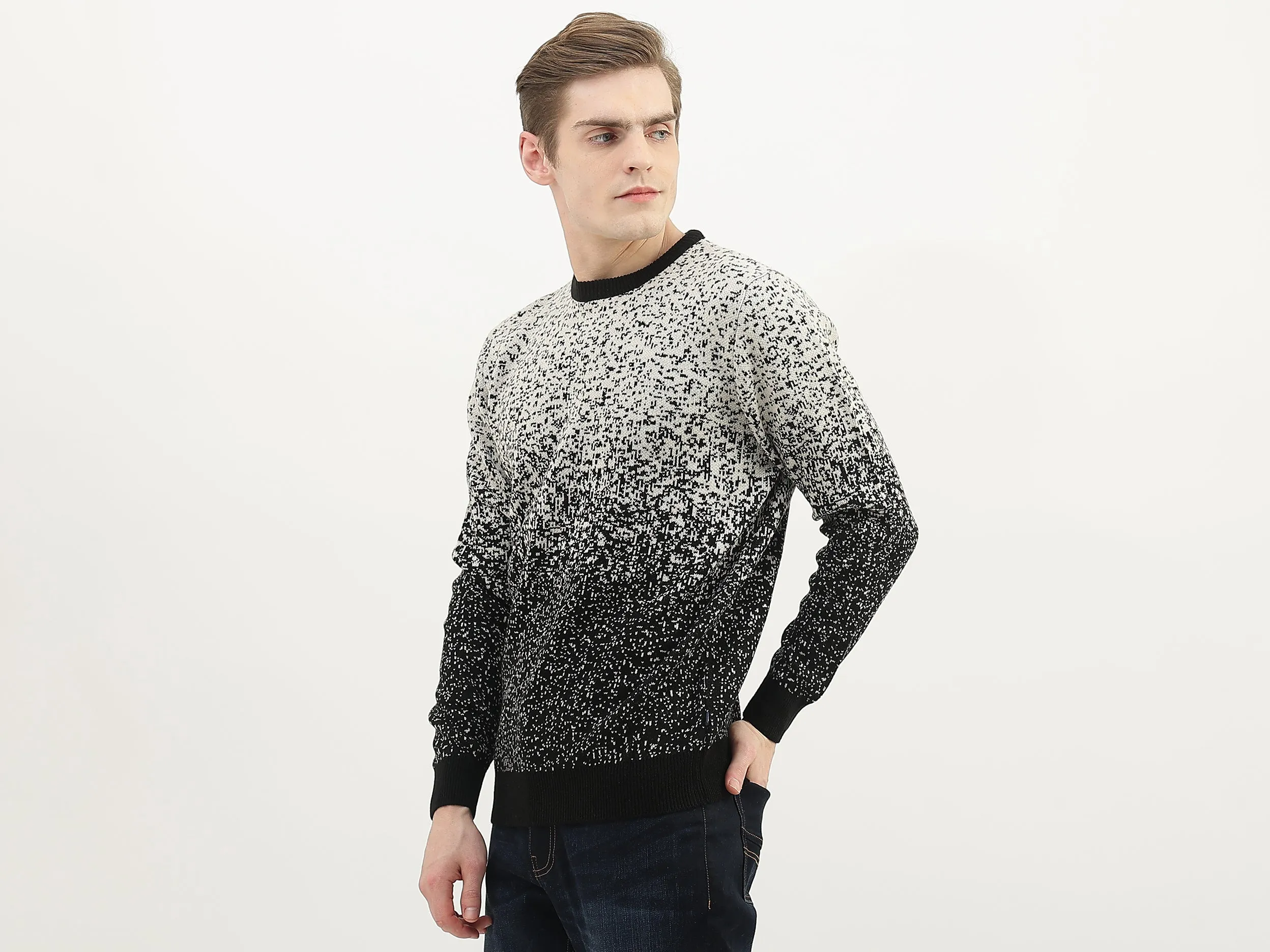 Men Textured Round Neck Sweater