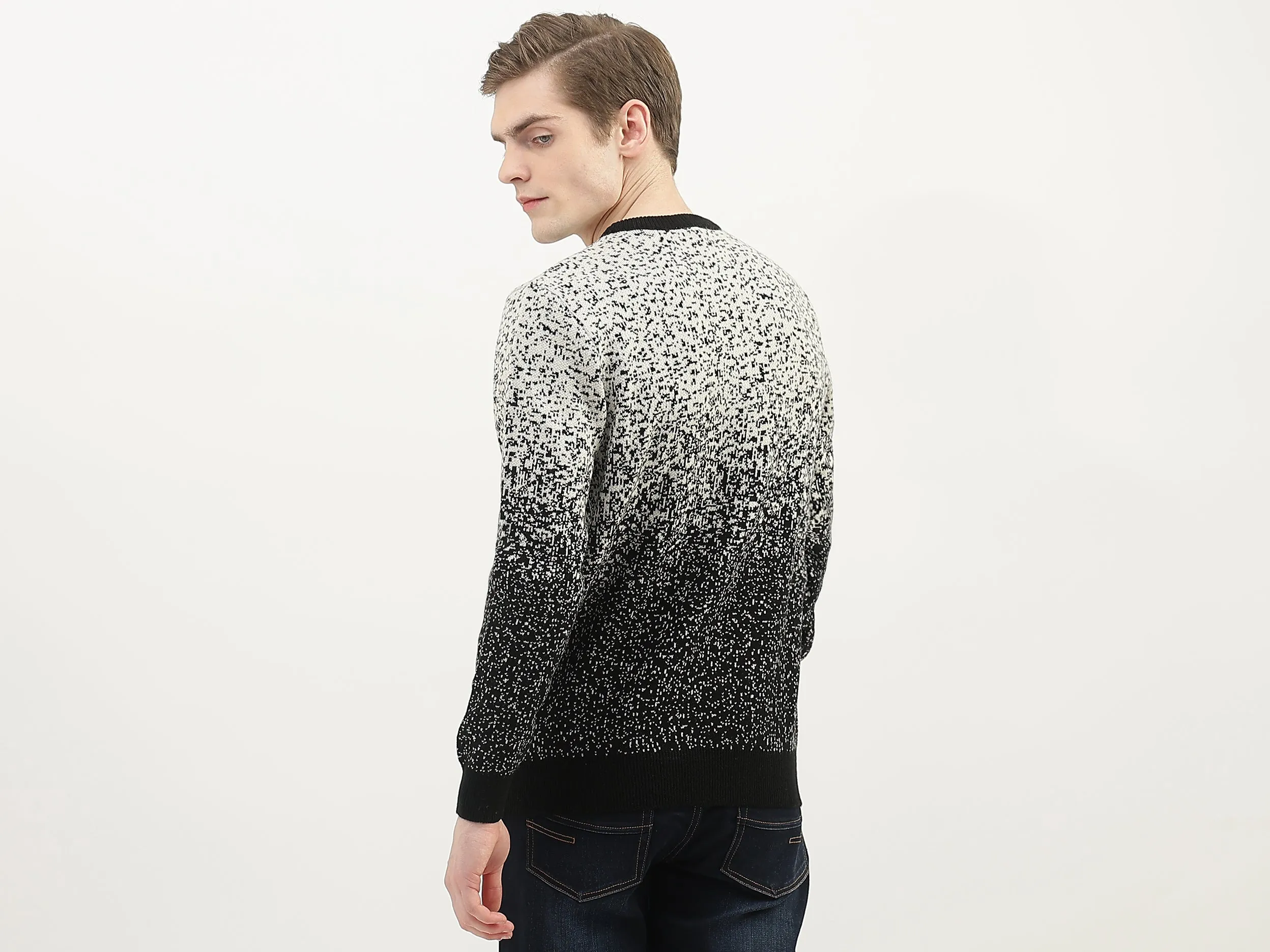 Men Textured Round Neck Sweater