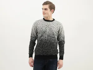 Men Textured Round Neck Sweater