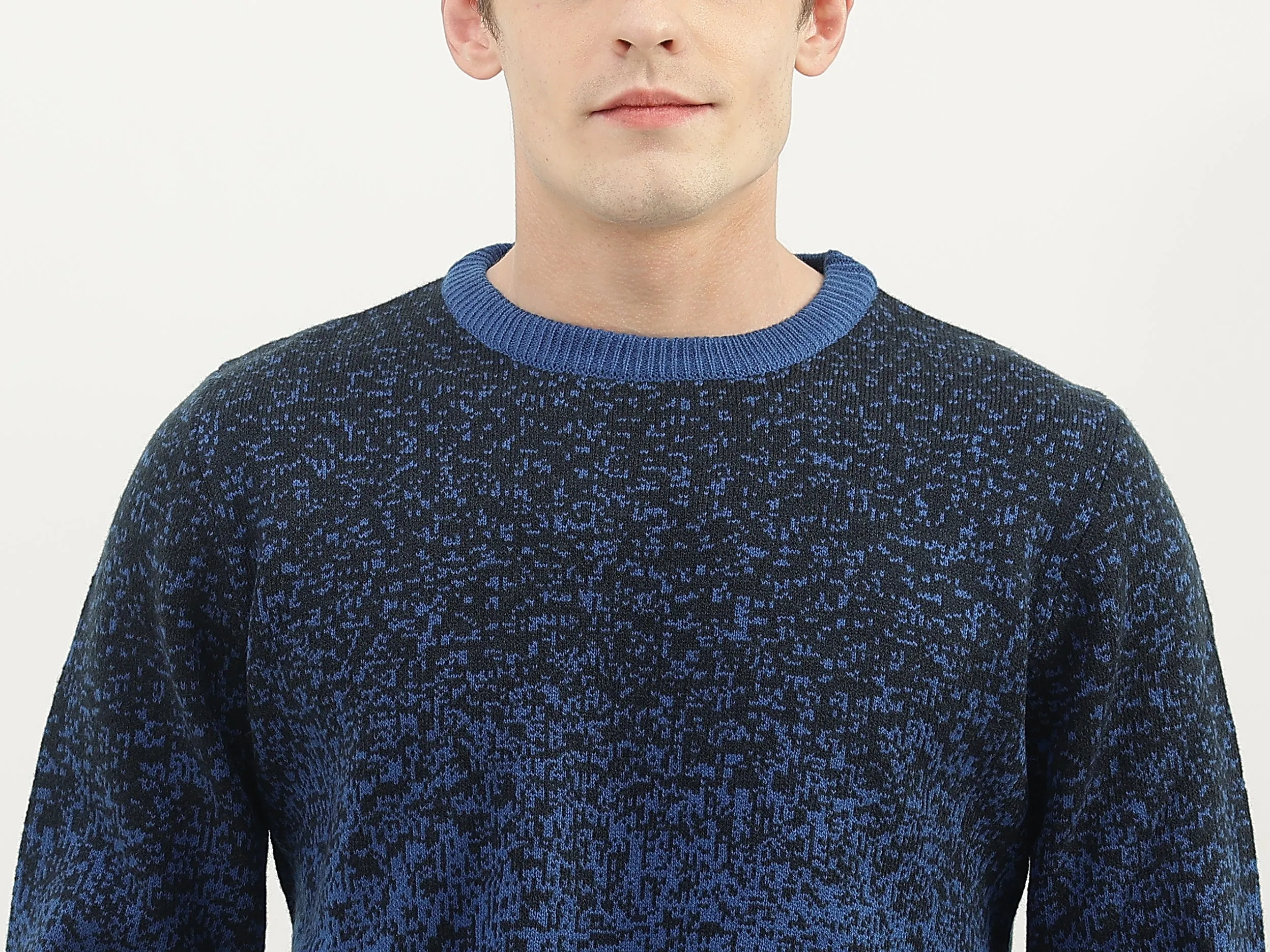 Men Textured Round Neck Sweater