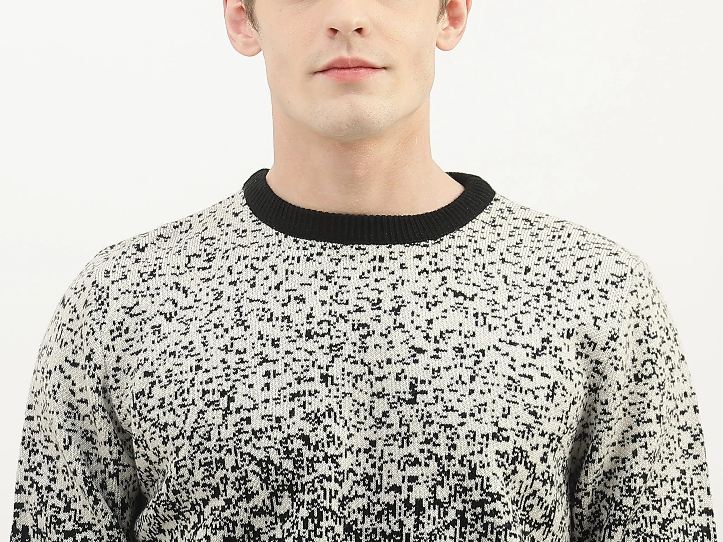 Men Textured Round Neck Sweater