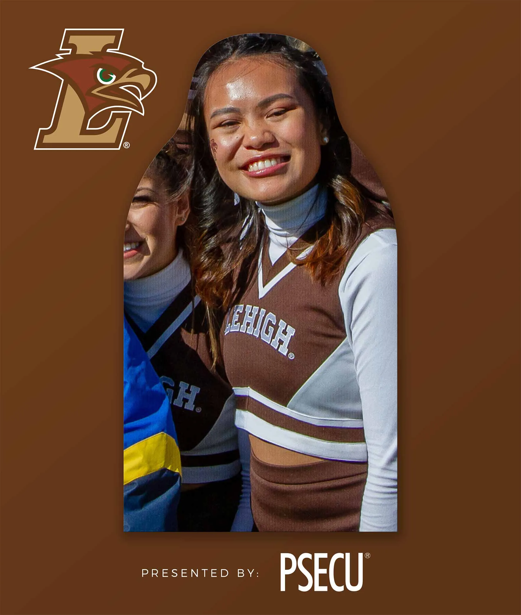 Mountain Hawks Fan Cutouts