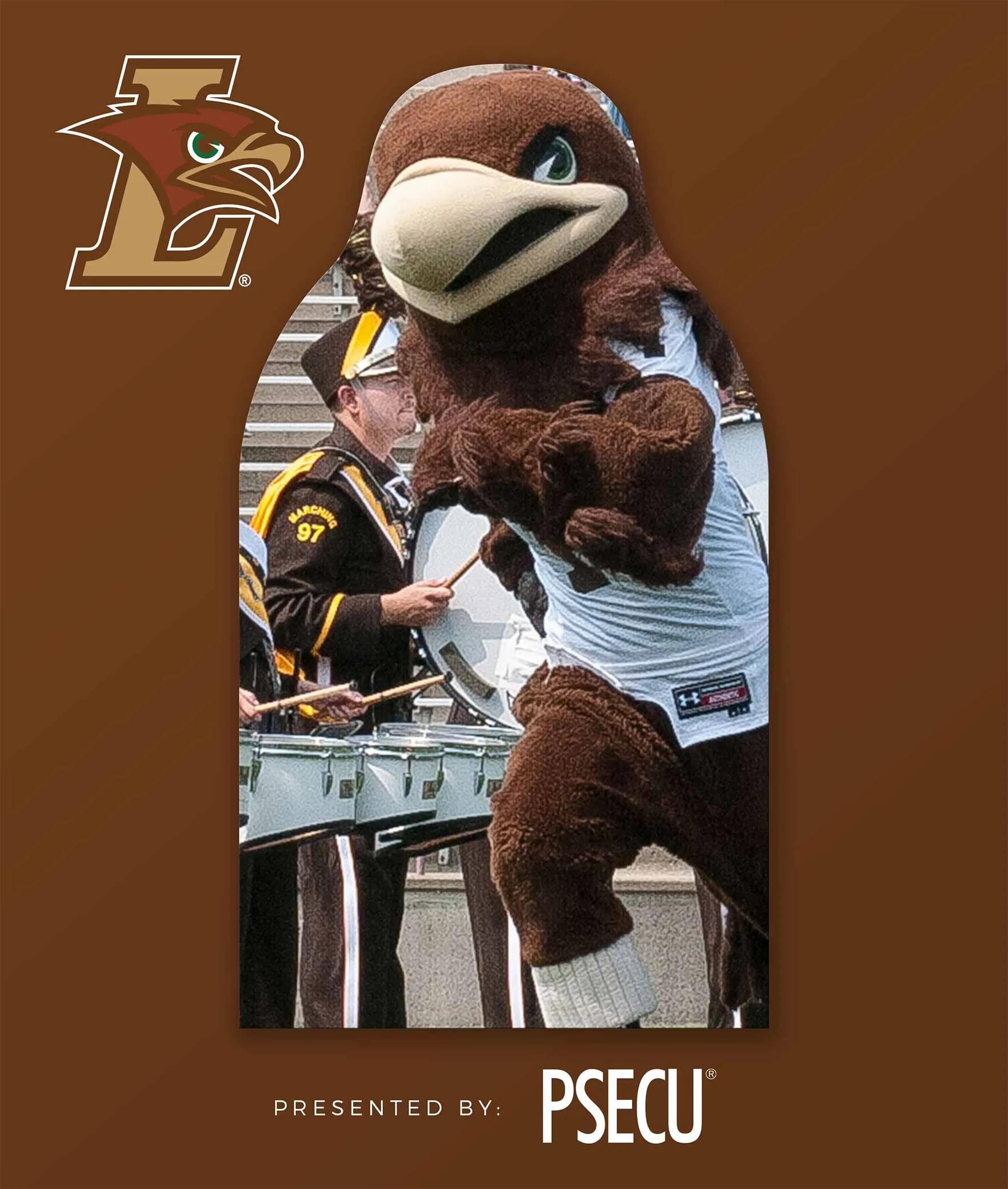 Mountain Hawks Fan Cutouts