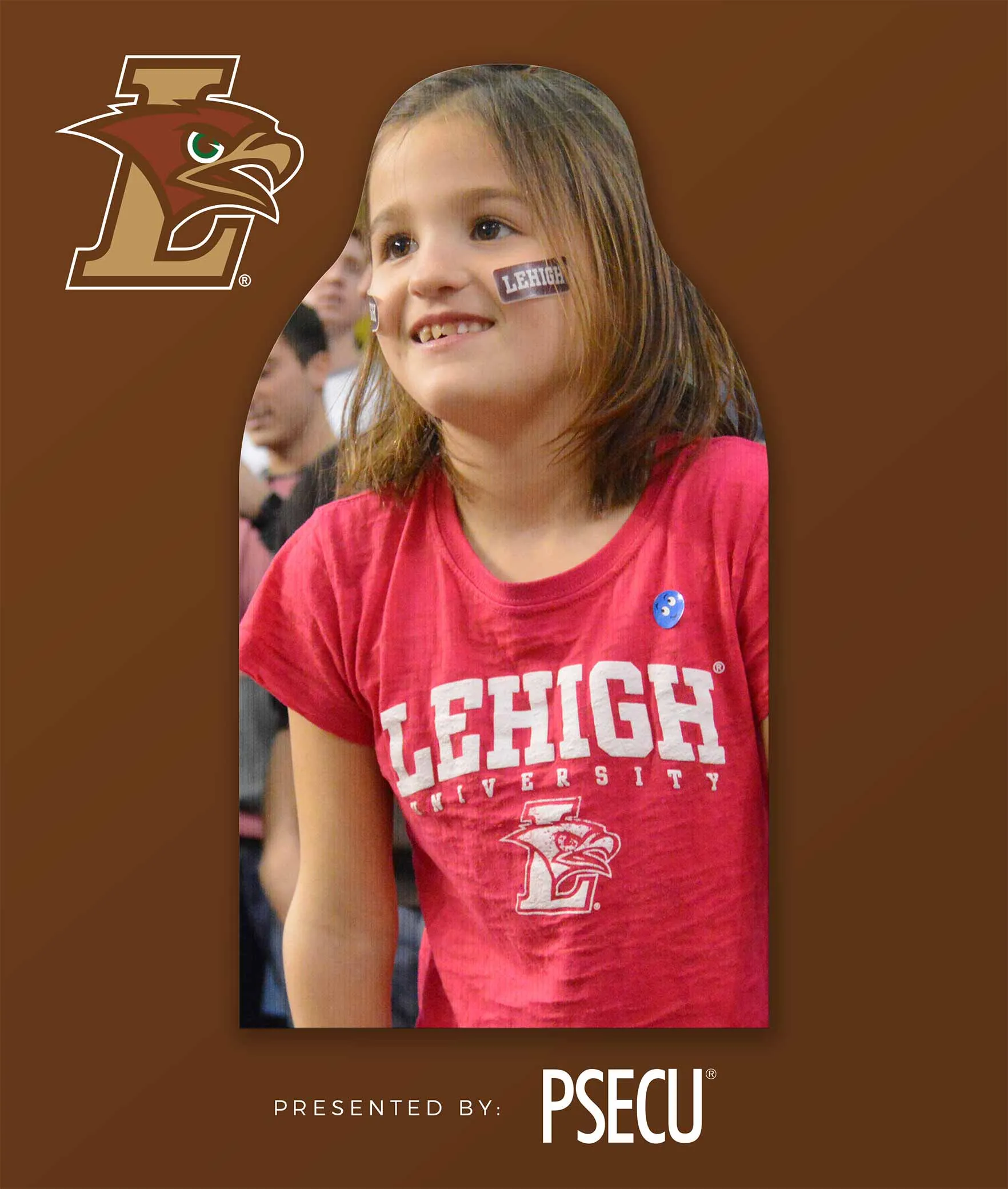 Mountain Hawks Fan Cutouts