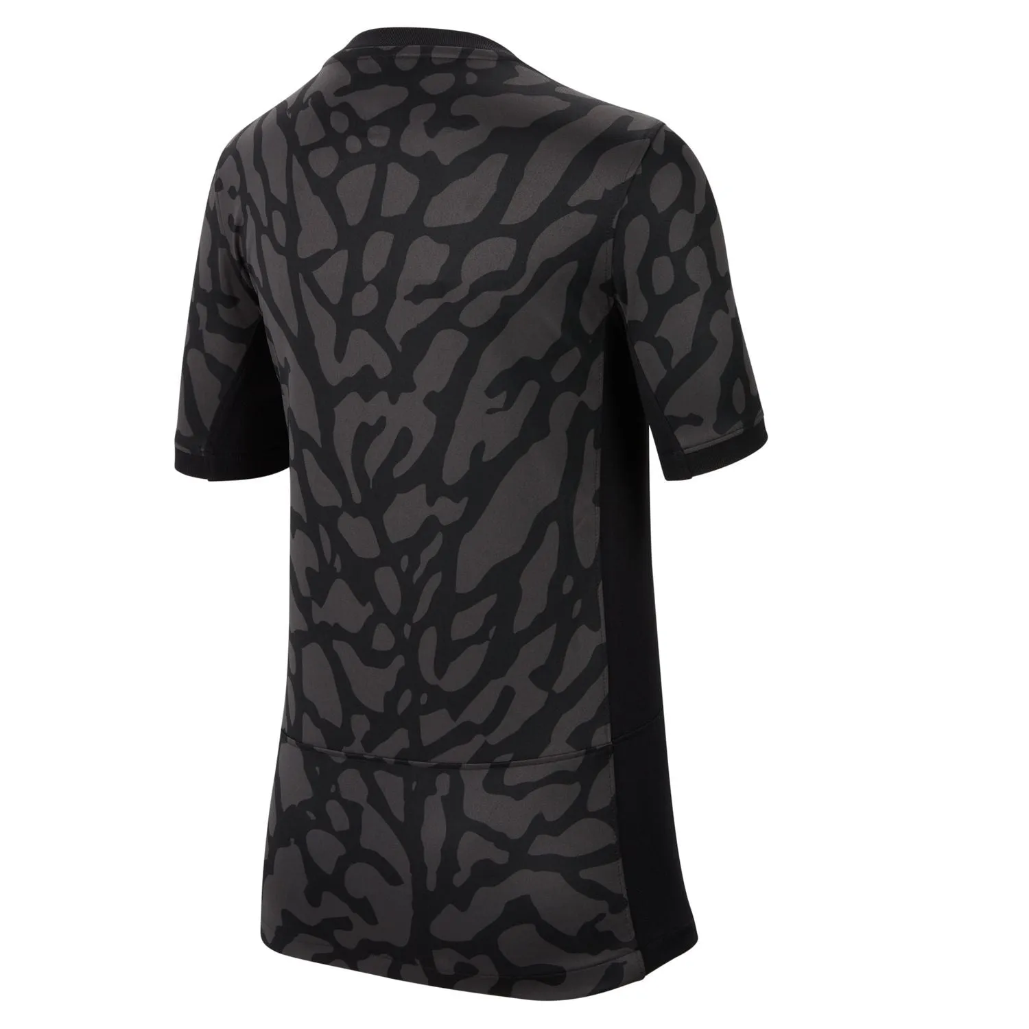 Nike Paris Saint-Germain (PSG) 2023/24 Mens Third Jersey