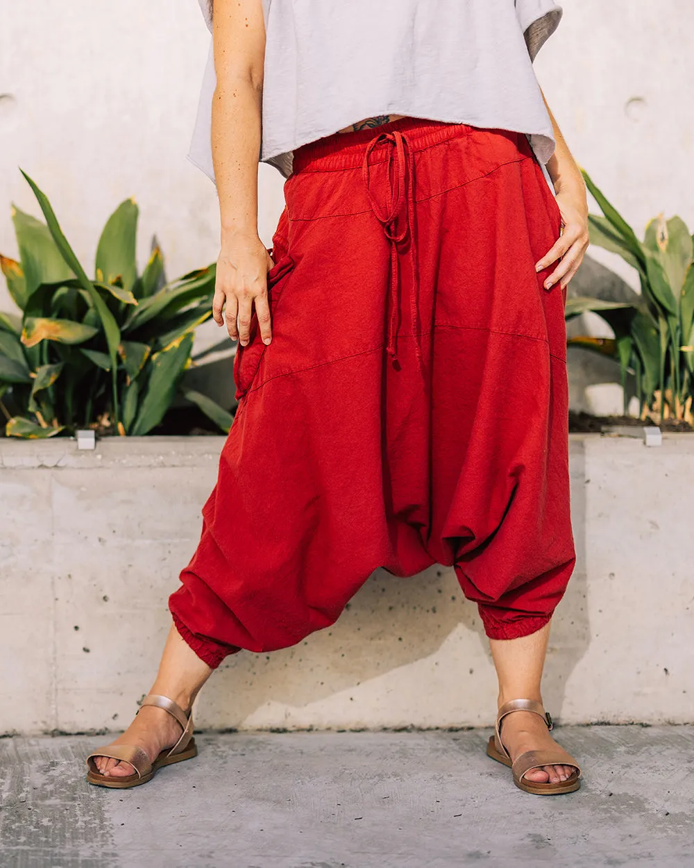 O.G. Solid Harem Pants