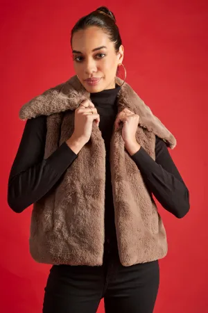 Rebato Collar Jacket