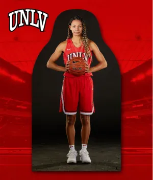 Rebels FanCutout