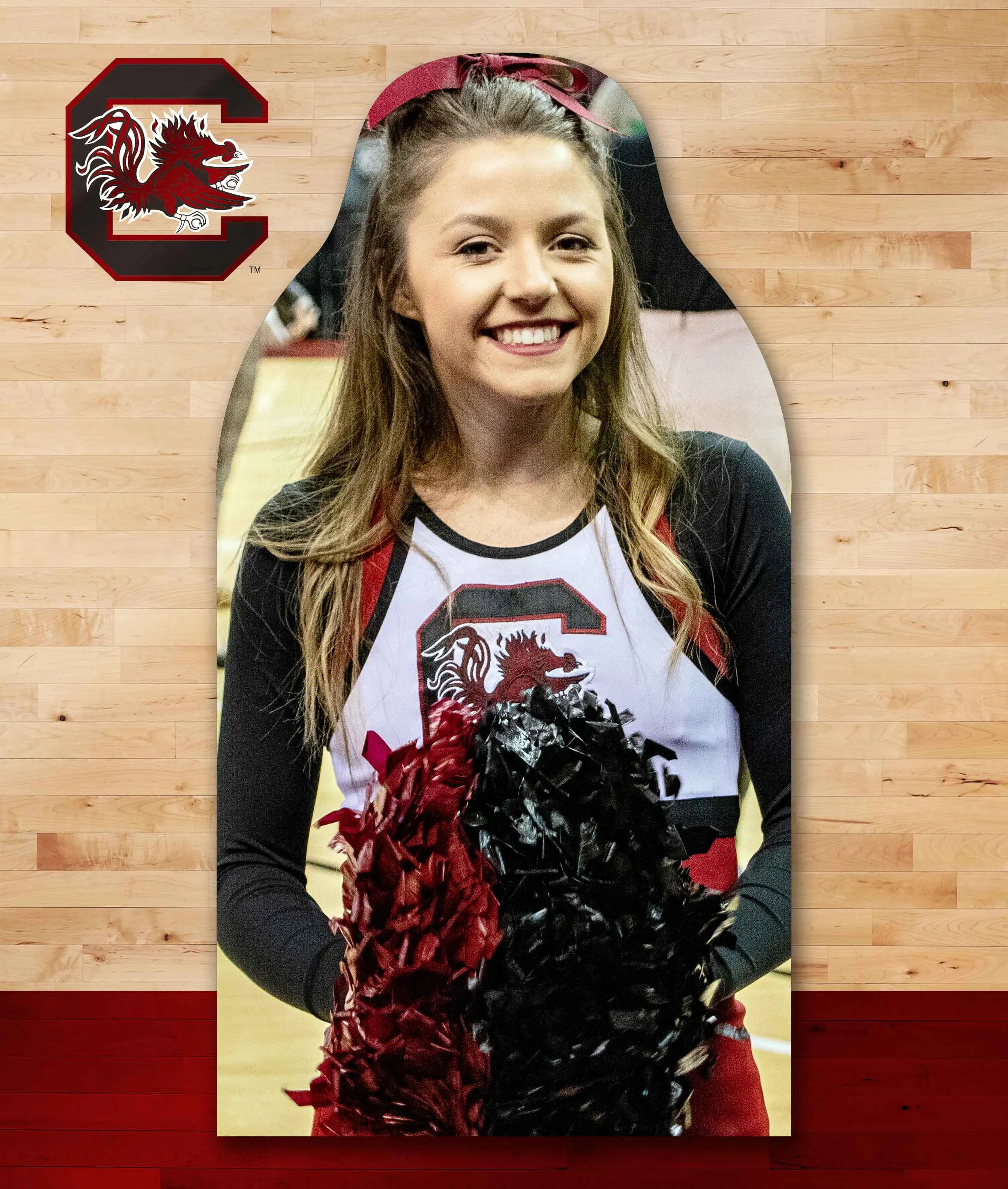 South Carolina Cocky Cutouts