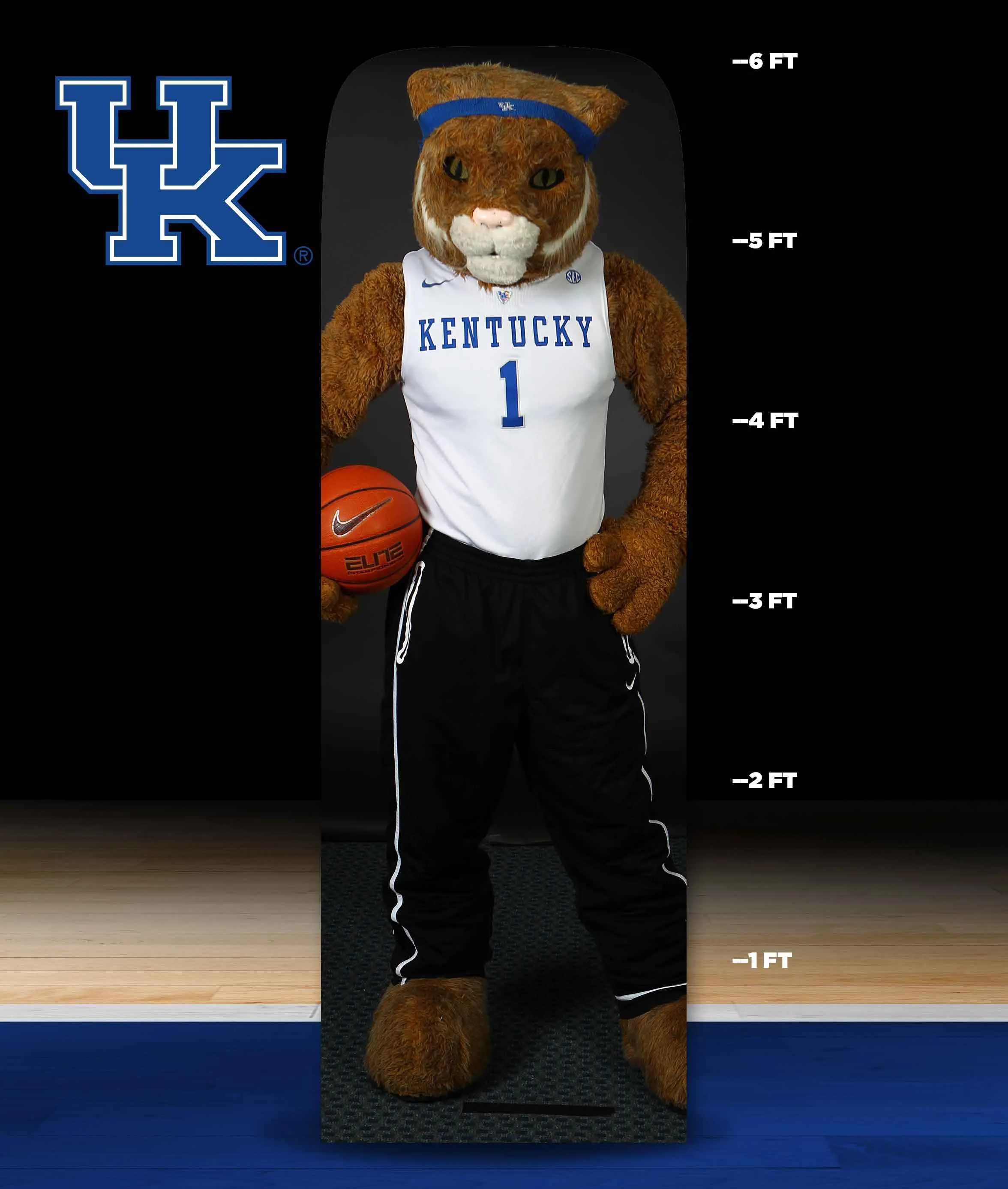 Tunnel Experience Kentucky Fan Cutouts
