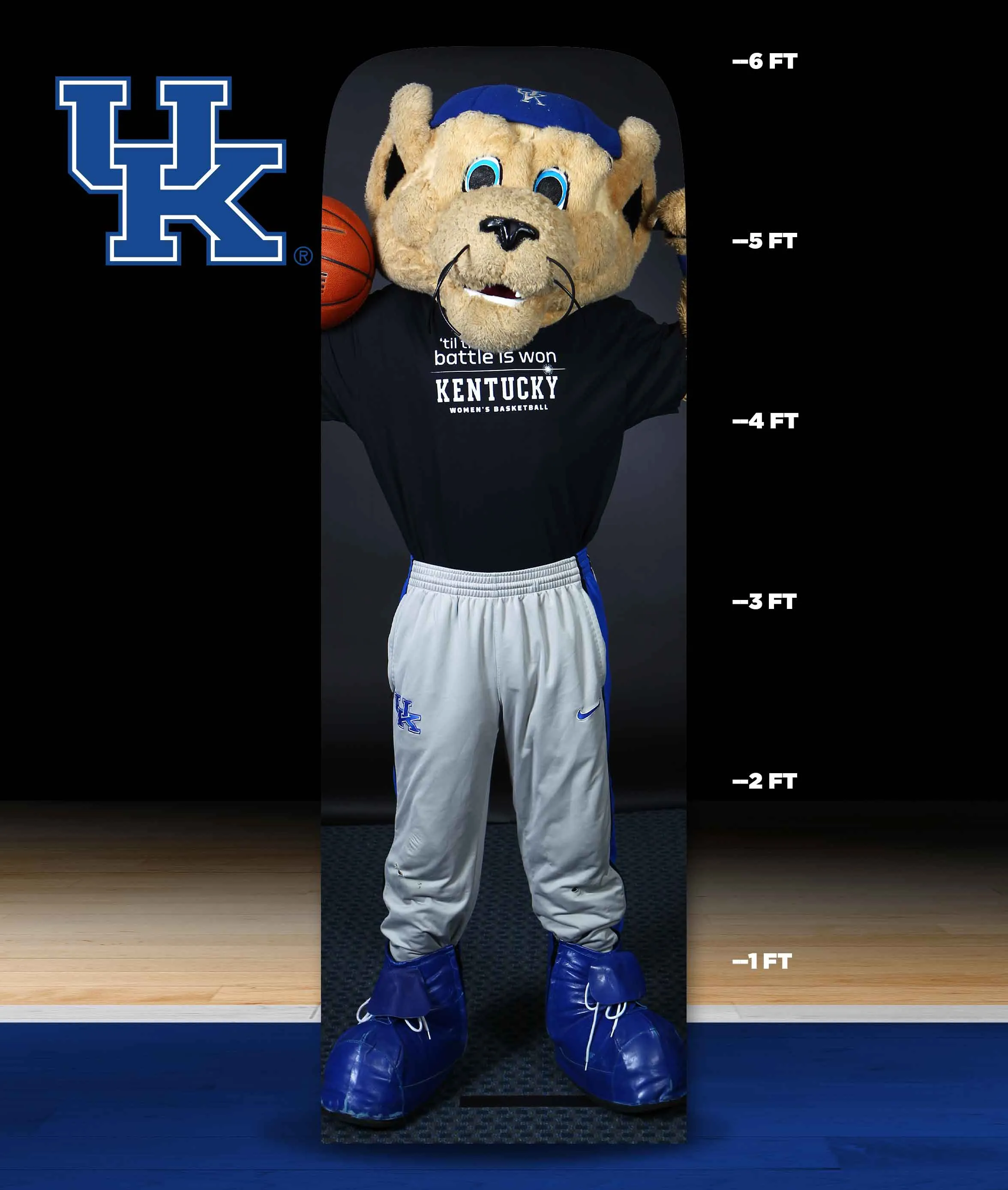 Tunnel Experience Kentucky Fan Cutouts