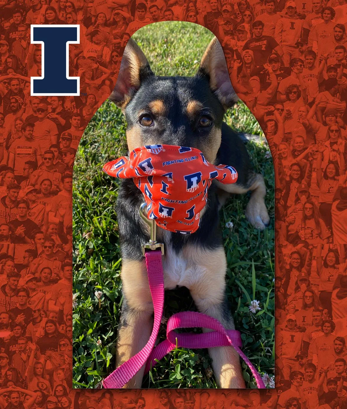 University of Illinois - Basketball Cutouts