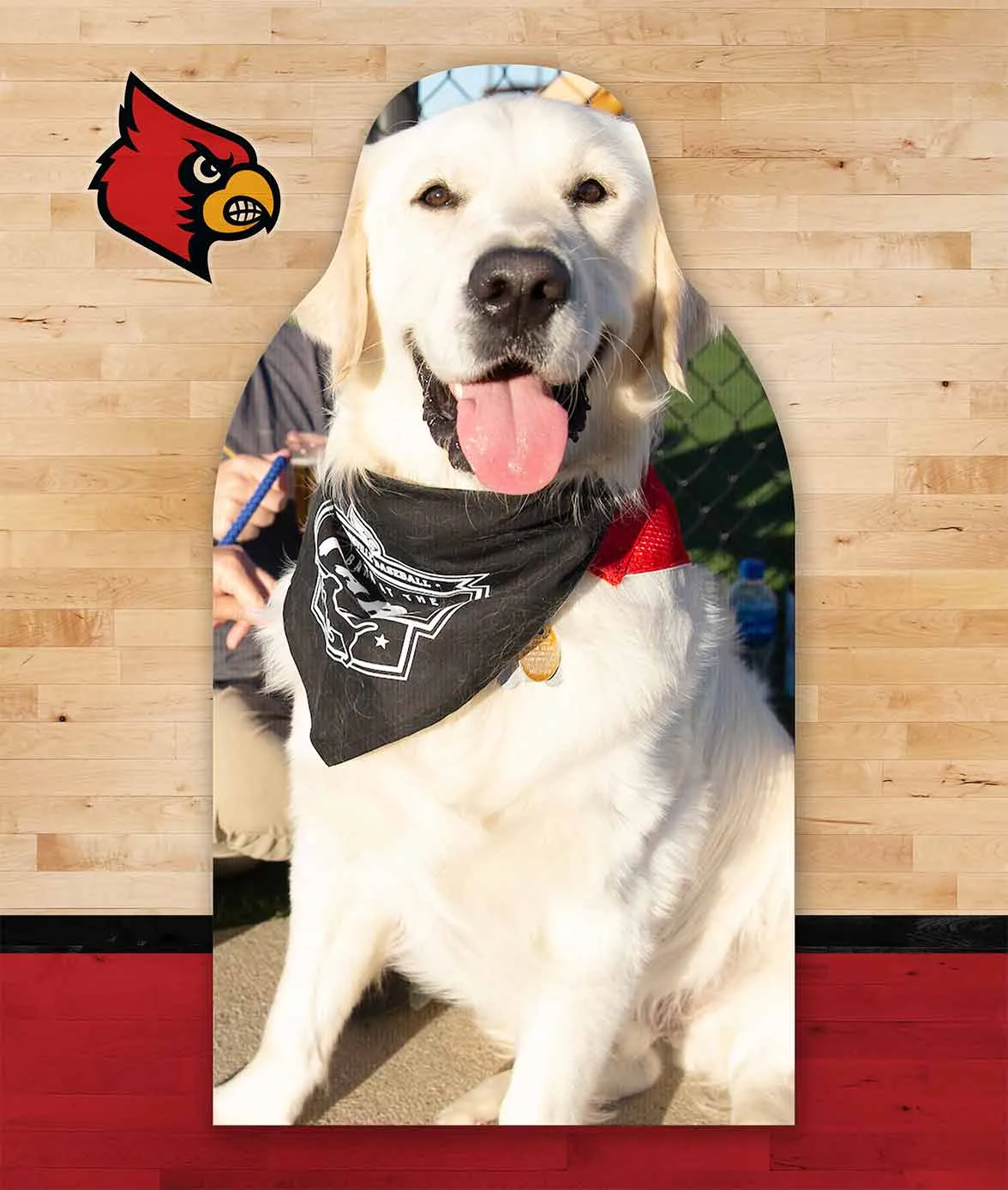 University of Louisville Cutouts